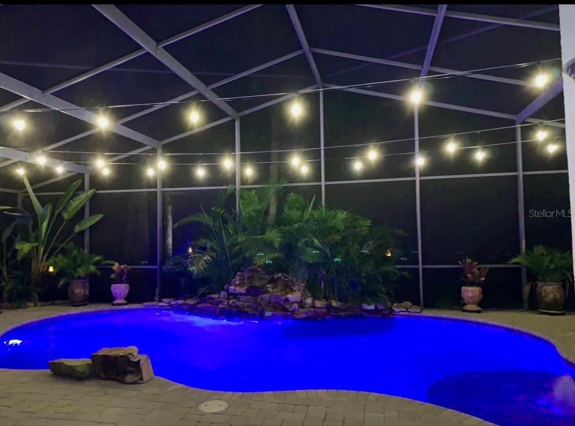 7729 ARELLI DR — photo 29