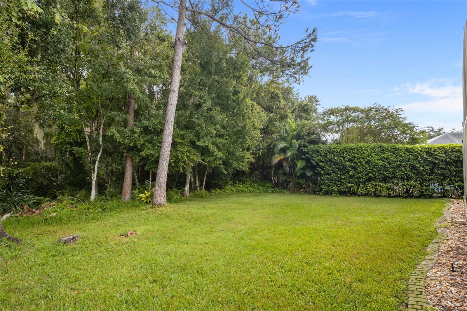 7729 ARELLI DR — photo 31
