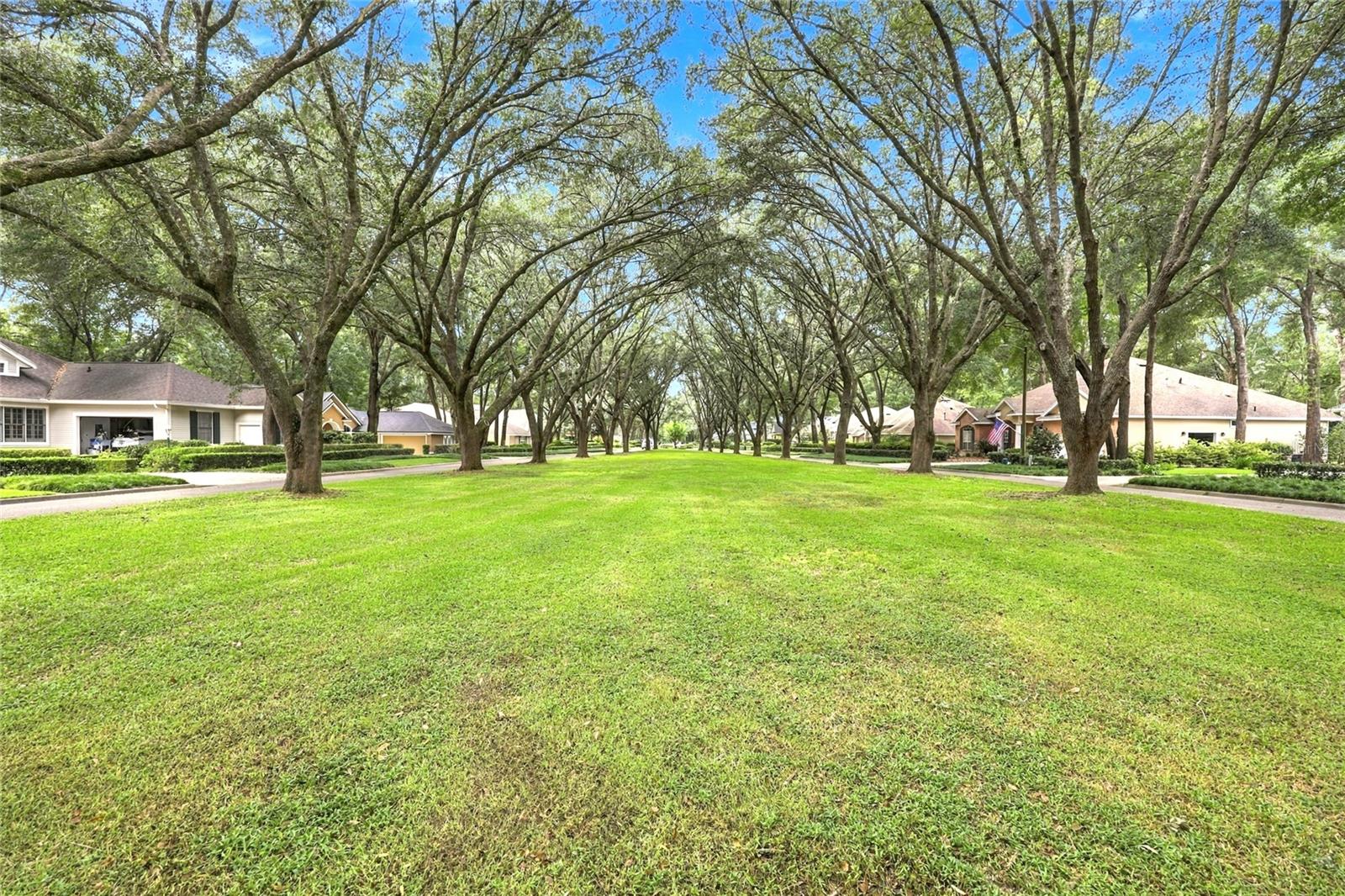 10315 SW 49TH LN — photo 49
