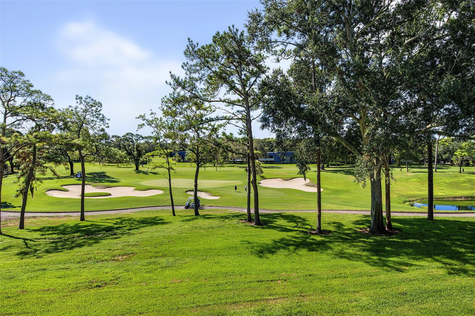 36750 US HIGHWAY 19 N #2769 — photo 4