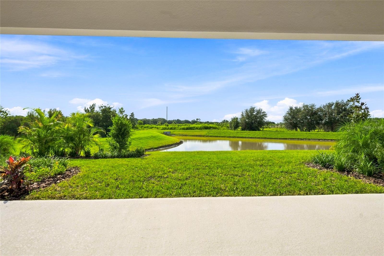 10064 LILAC MANOR TRCE — photo 33
