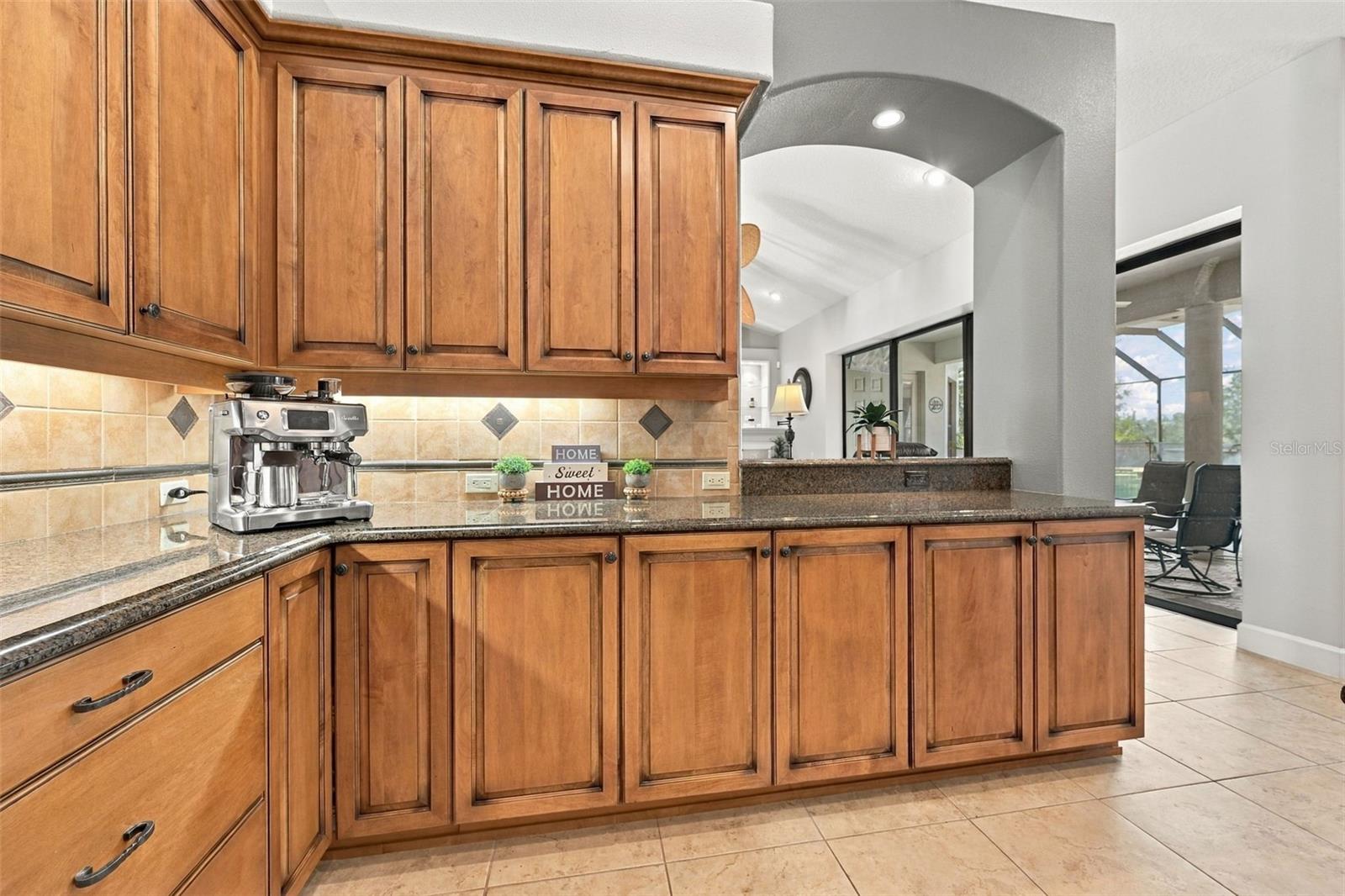 13551 CARNOUSTIE CIR — photo 18