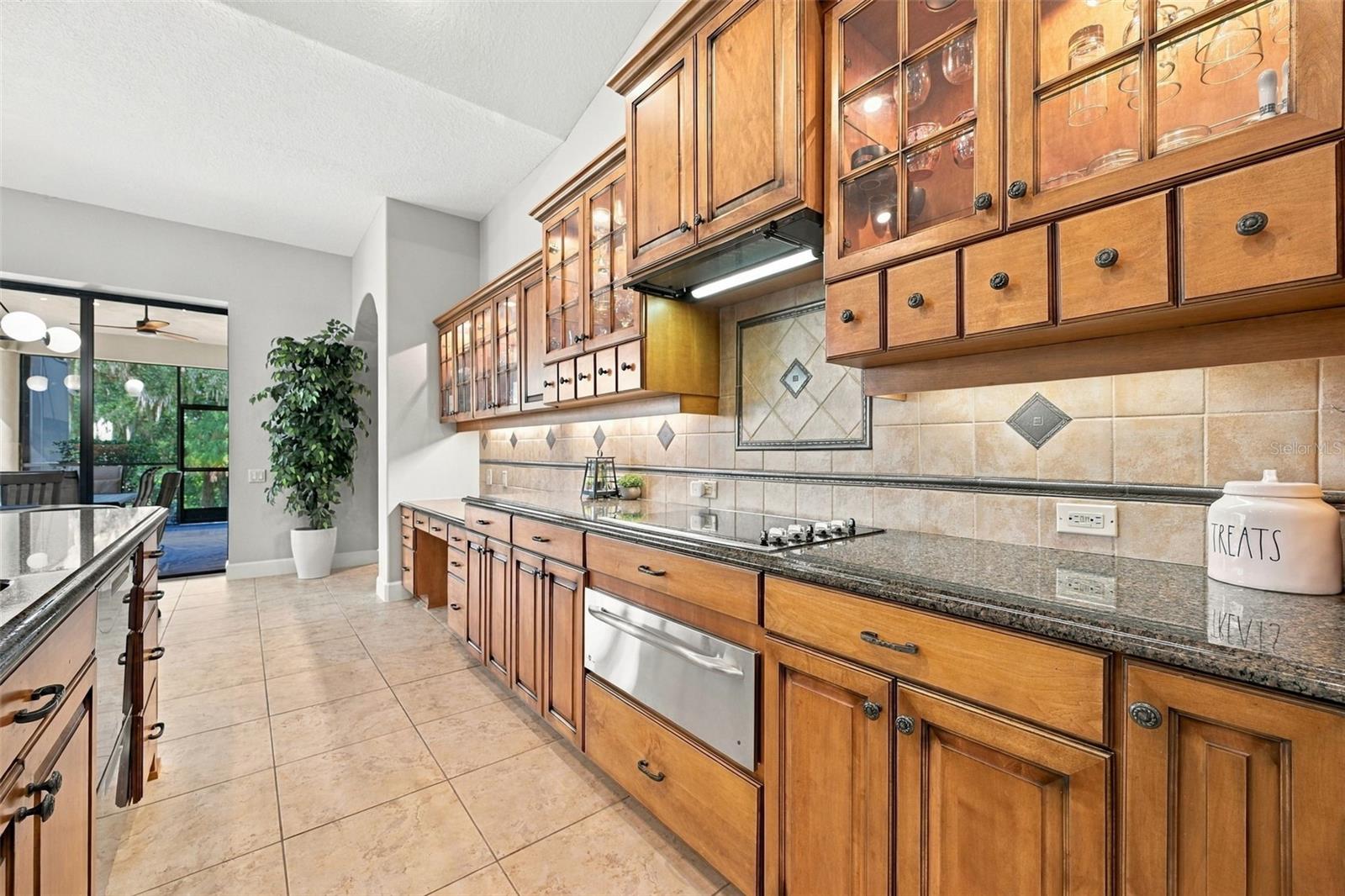 13551 CARNOUSTIE CIR — photo 19