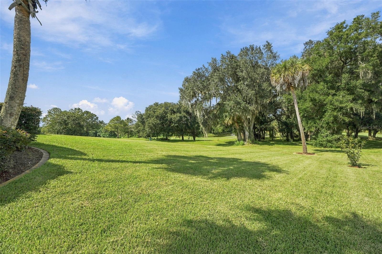 13551 CARNOUSTIE CIR — photo 58