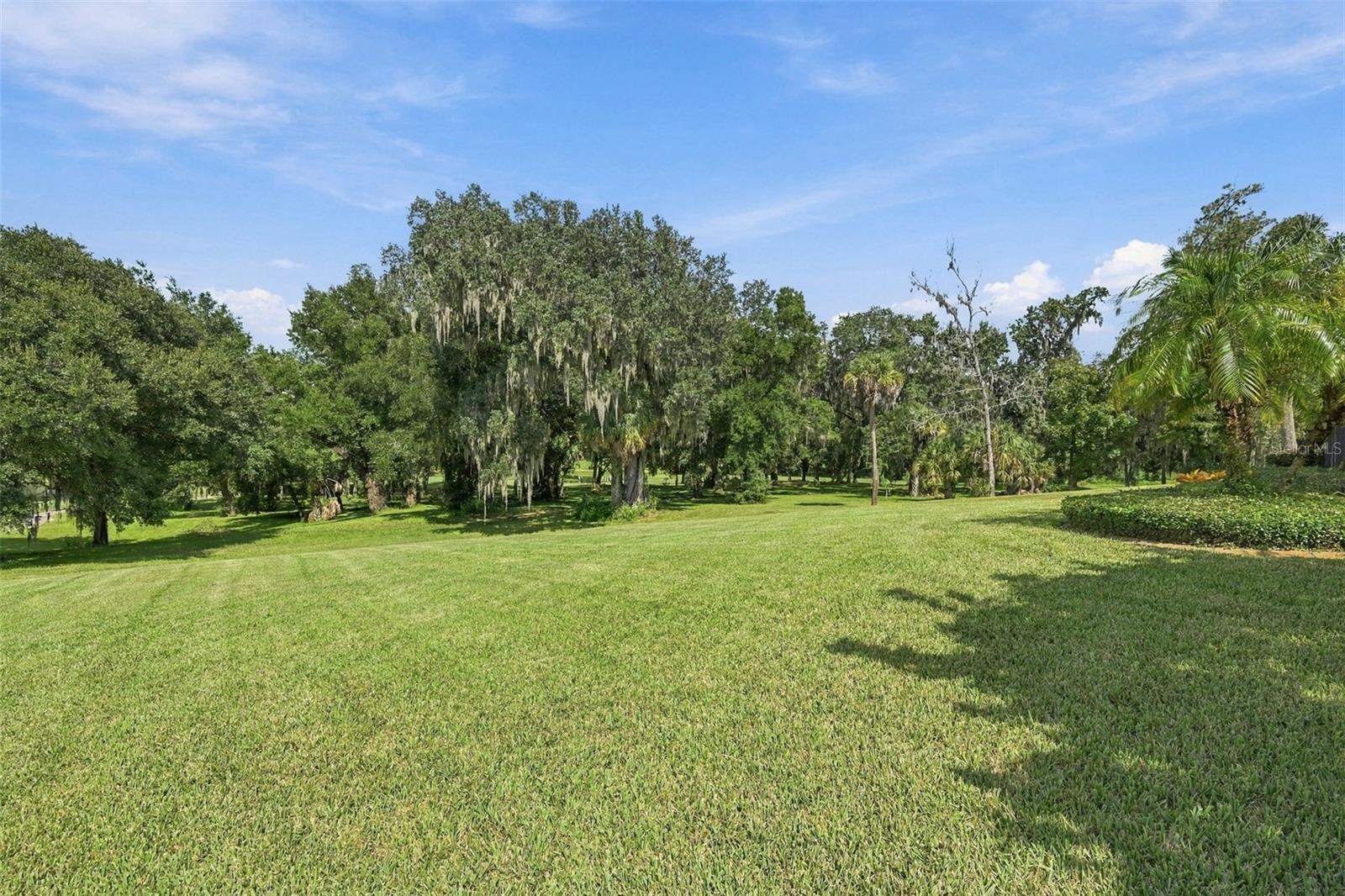 13551 CARNOUSTIE CIR — photo 57