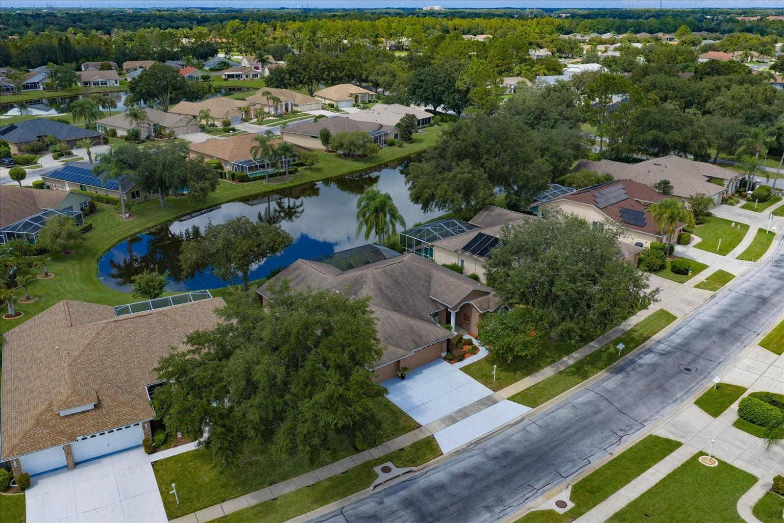 1237 RAMBLING VINE CT — photo 43