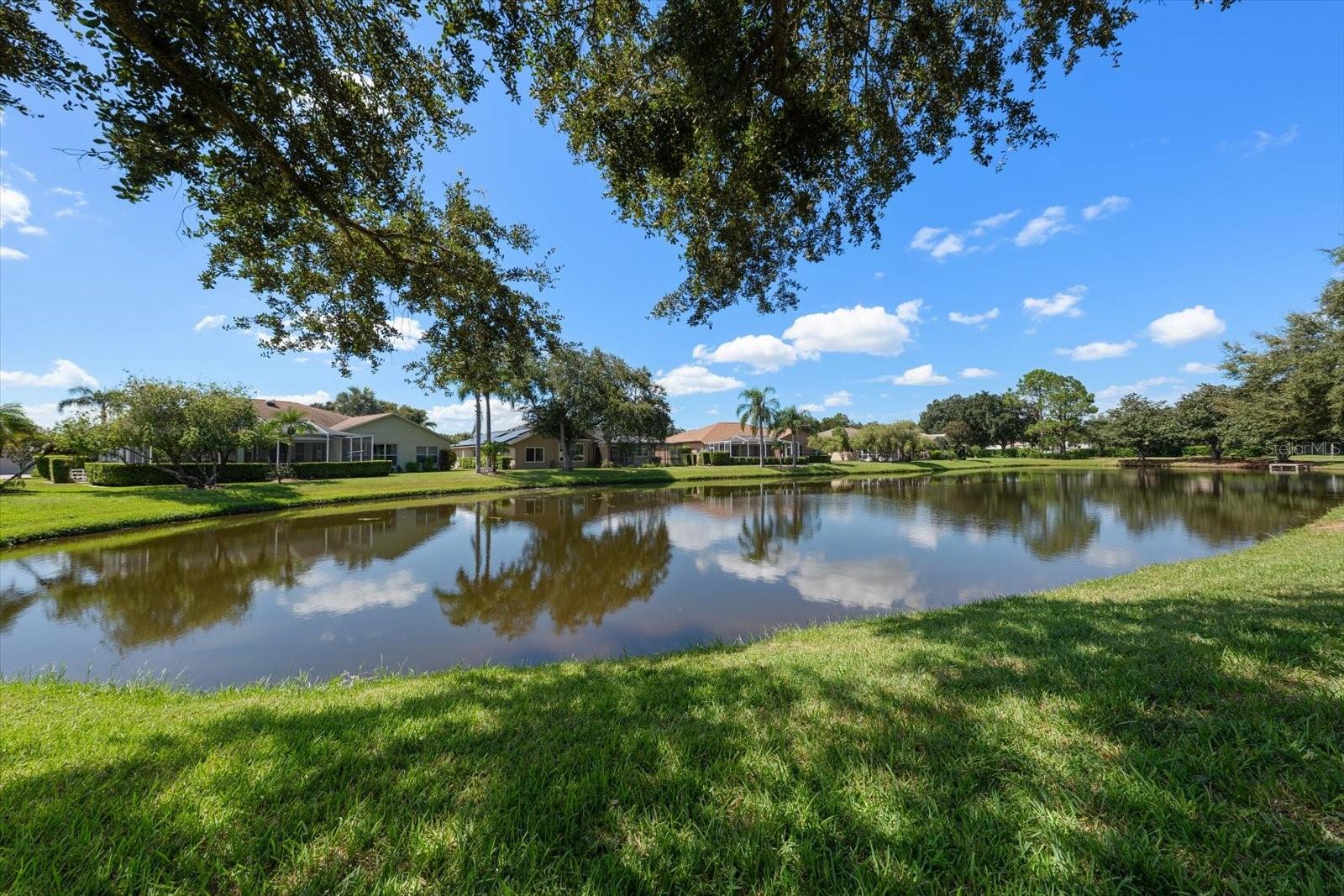 1237 RAMBLING VINE CT — photo 47