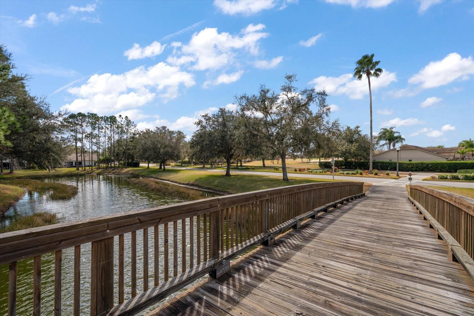 1237 RAMBLING VINE CT — photo 36