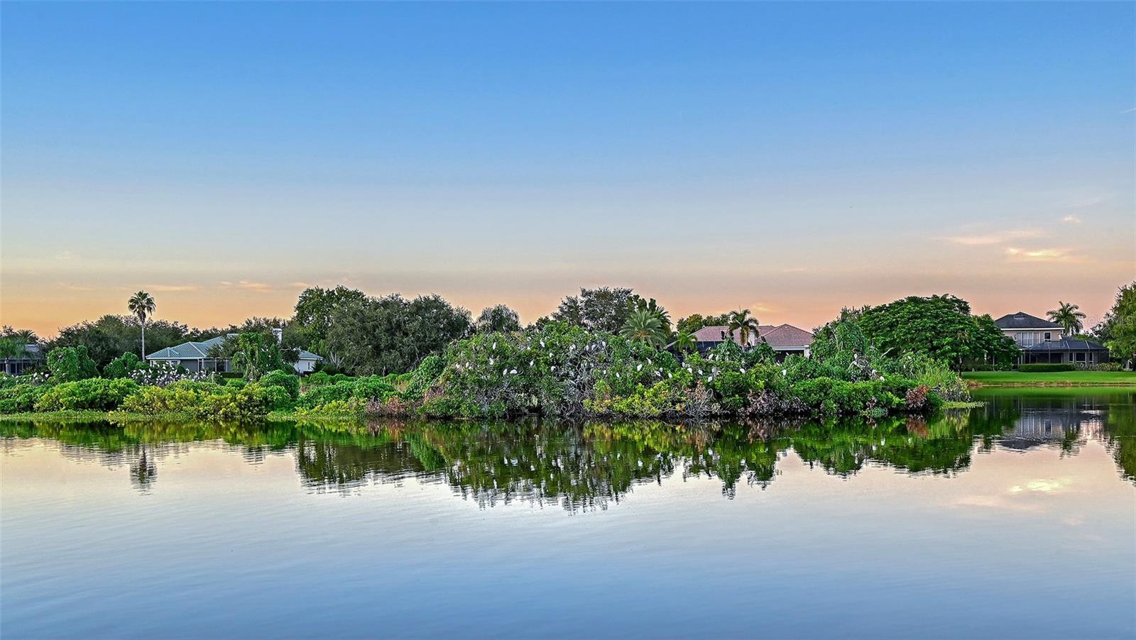 7467 CABBAGE PALM CT — photo 93
