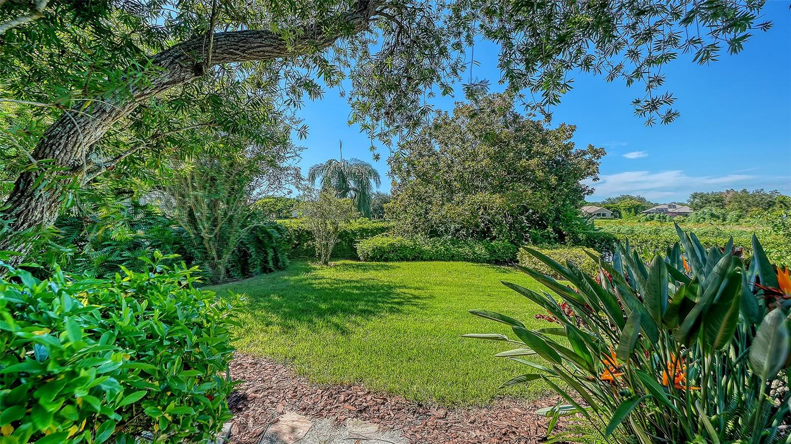 7467 CABBAGE PALM CT — photo 89