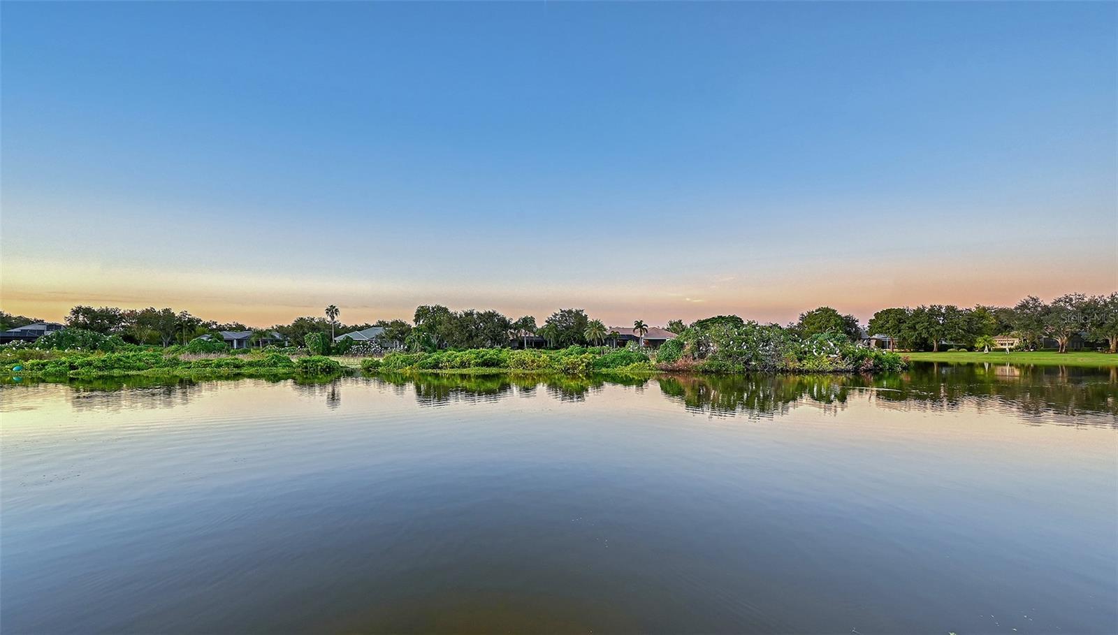 7467 CABBAGE PALM CT — photo 92