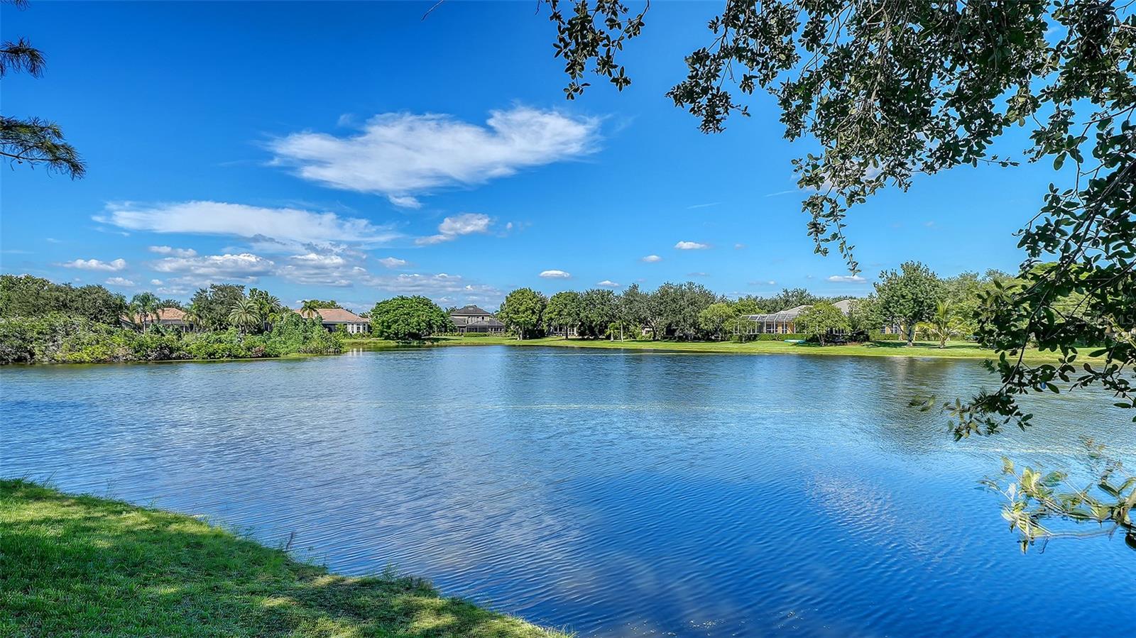 7467 CABBAGE PALM CT — photo 86