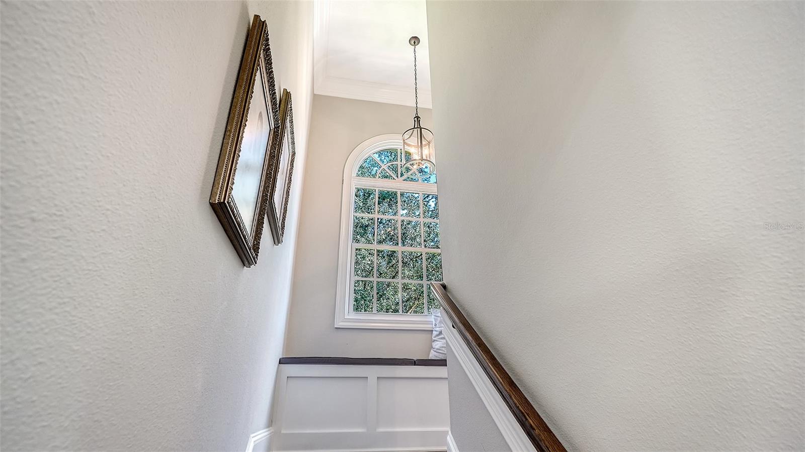 7467 CABBAGE PALM CT — photo 59