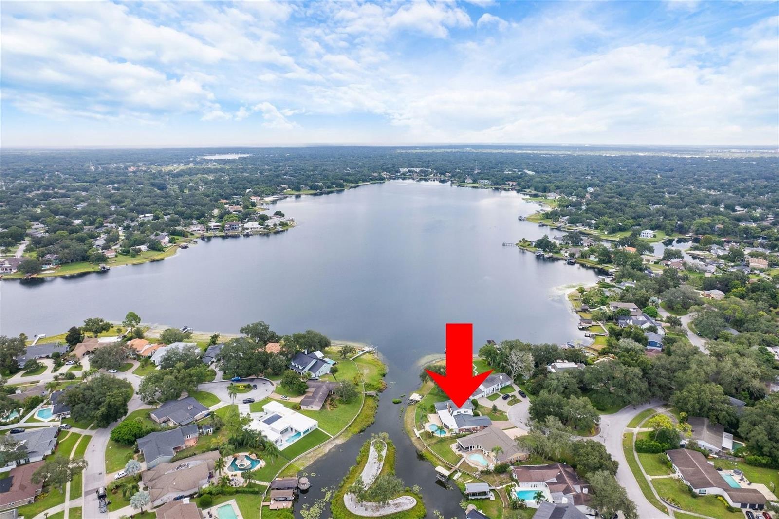 2823 SAMARA DR — photo 4