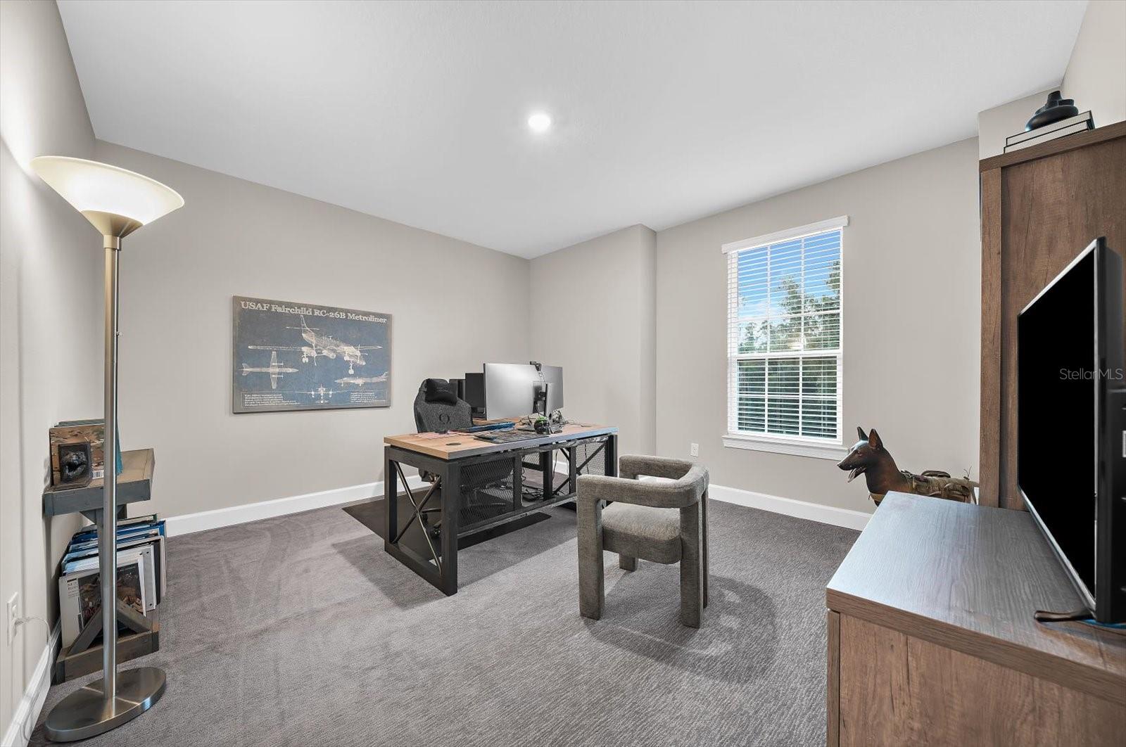 1118 LAKE HANNA DR — photo 51