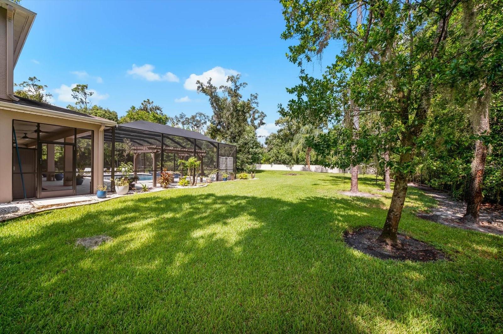 1118 LAKE HANNA DR — photo 71
