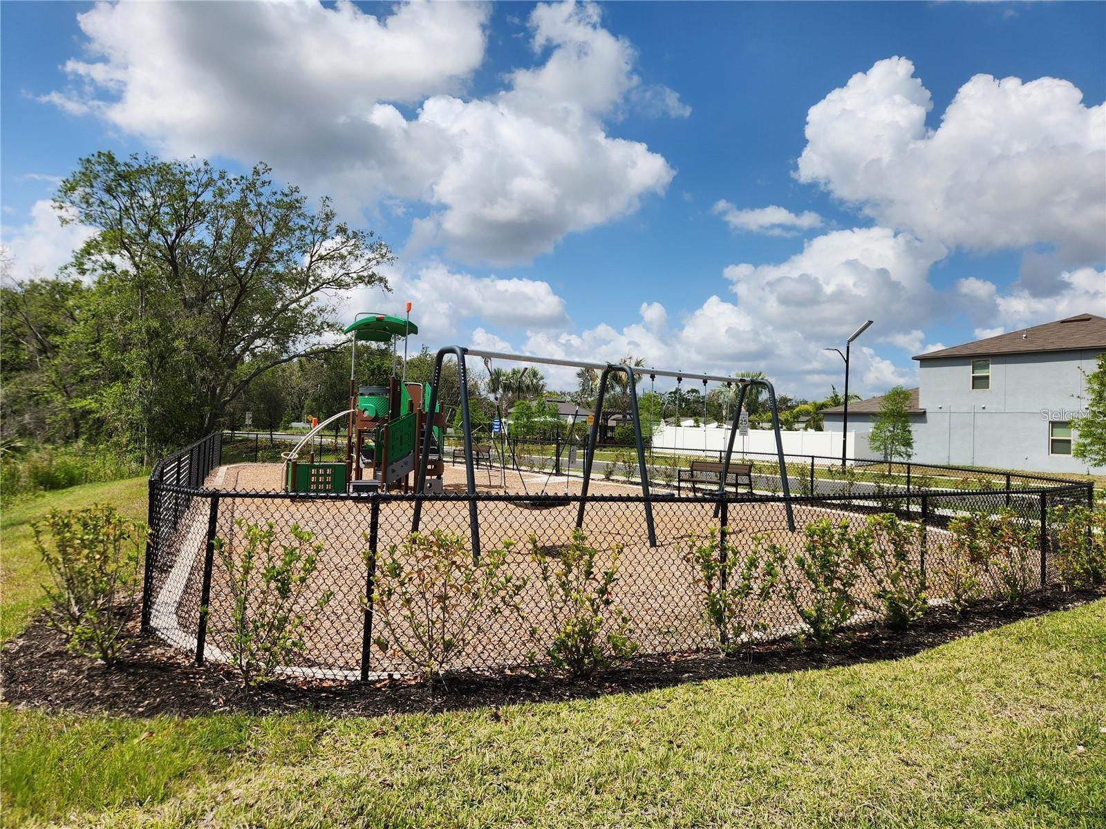 10357 SCARLET SKIMMER DR — photo 35