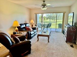 408 CERROMAR CIR S #236 — photo 8