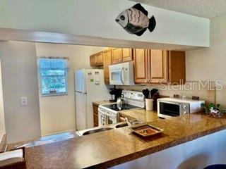 408 CERROMAR CIR S #236 — photo 5