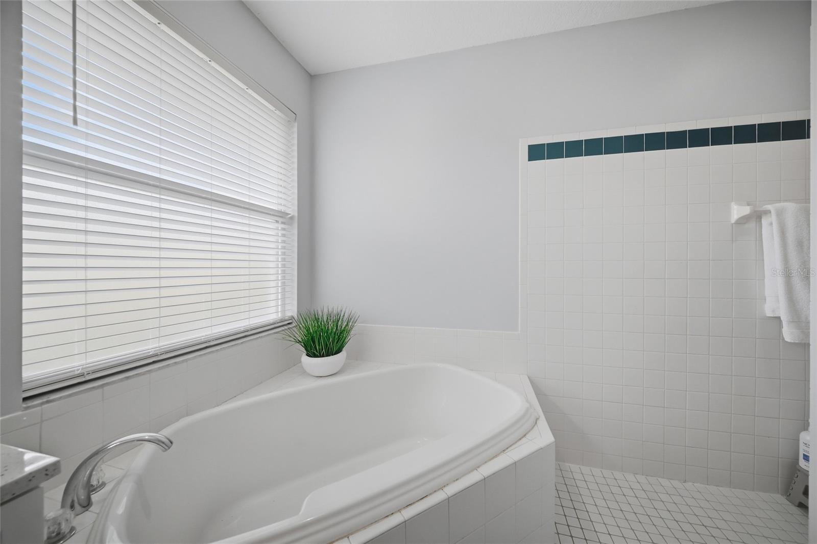 3104 RIVER WOODS DR — photo 22
