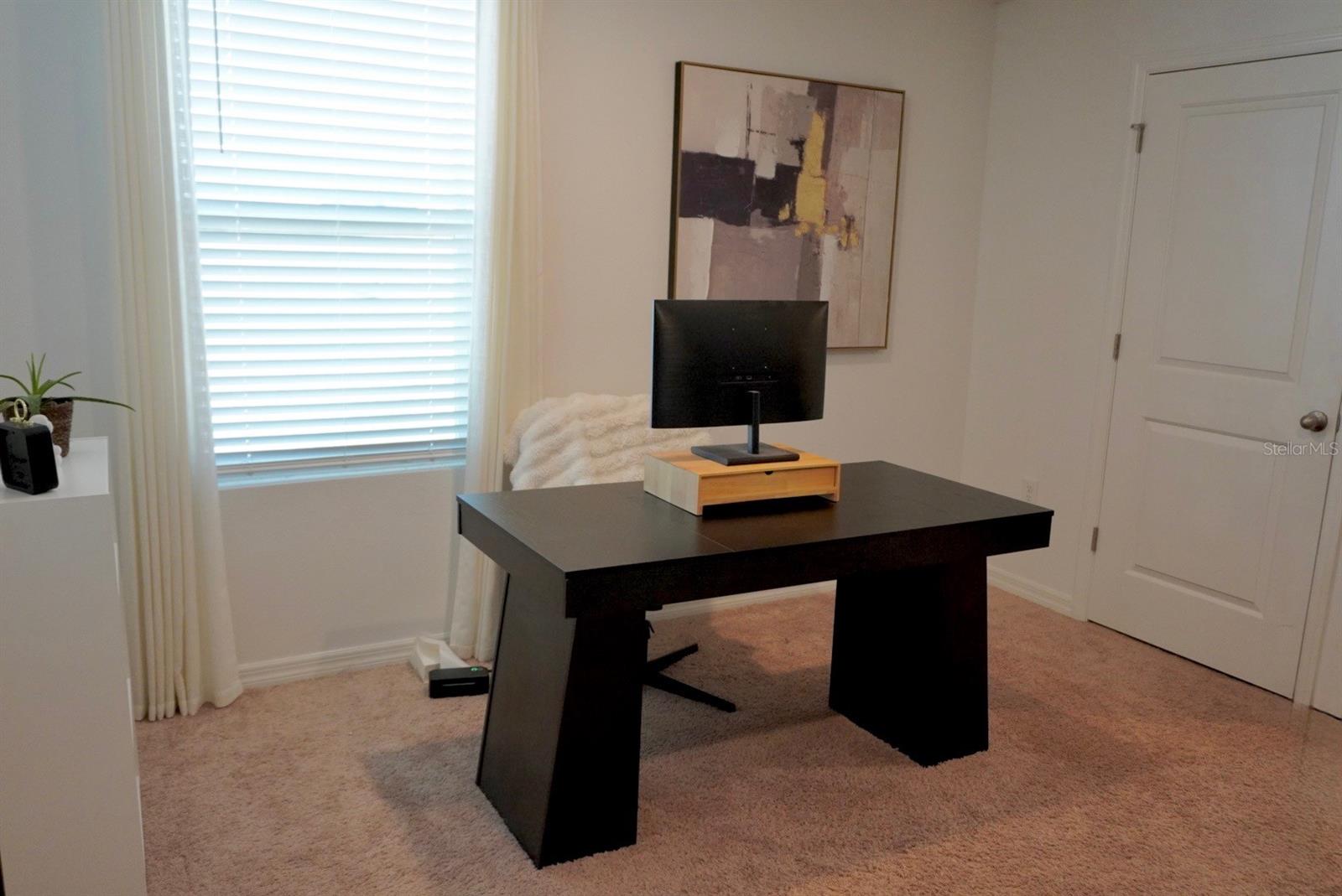 557 OLIVE CONCH ST — photo 15
