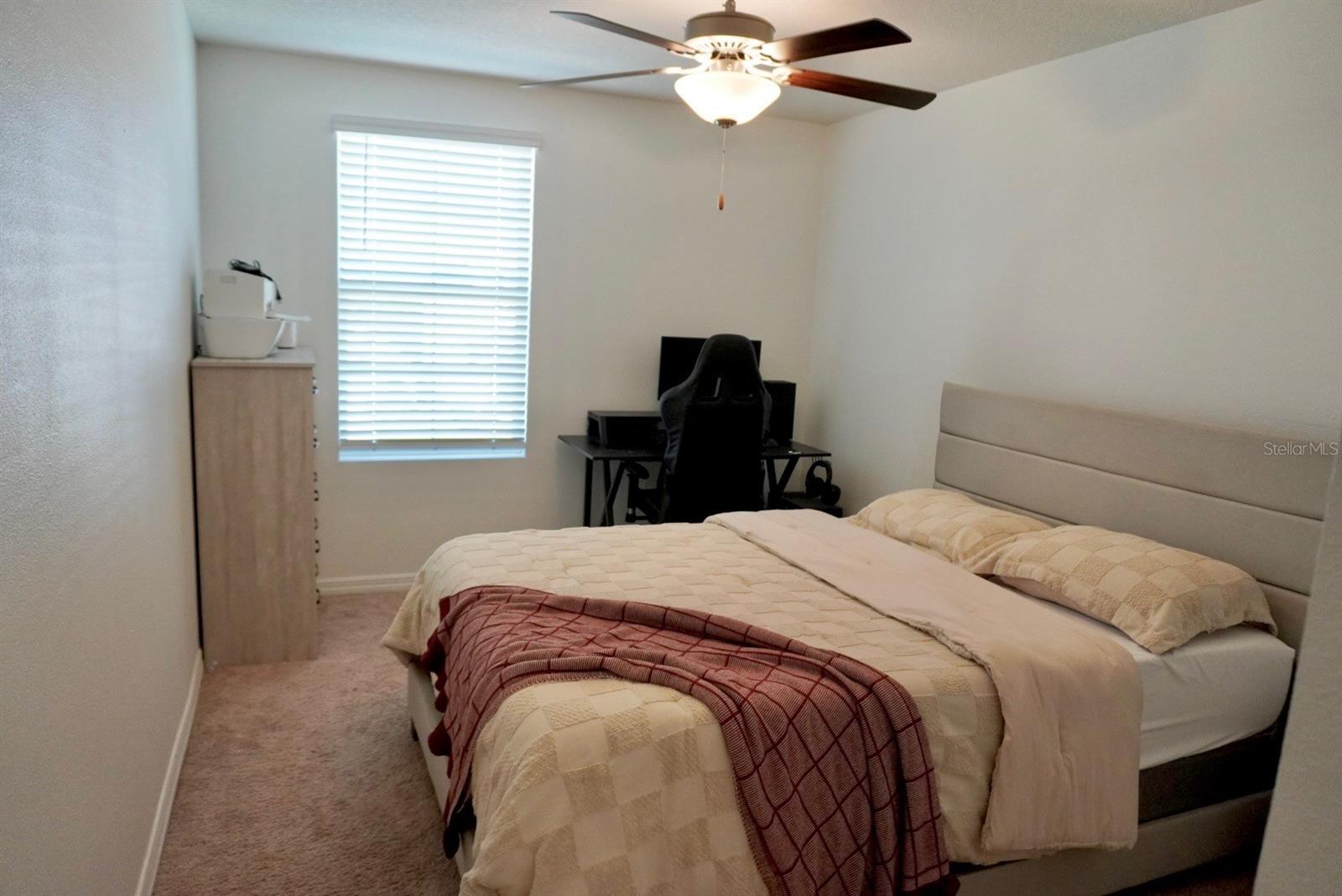557 OLIVE CONCH ST — photo 12