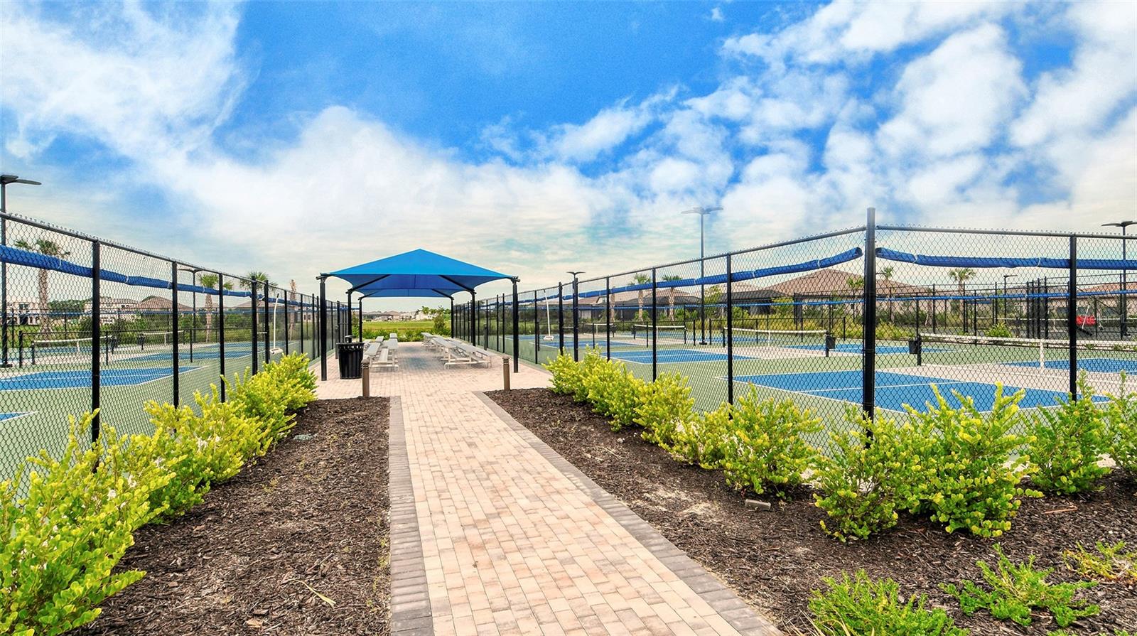 6036 SILVER GRASS CT — photo 66