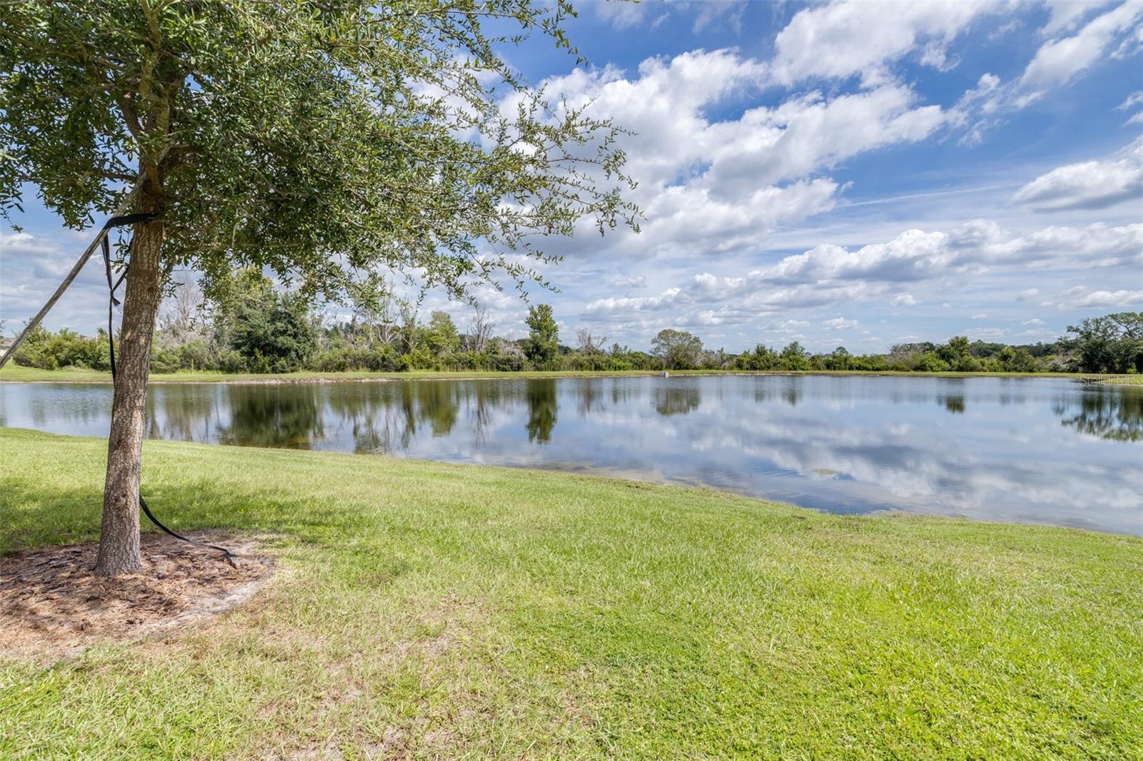 9776 CAMPANULA CT — photo 41