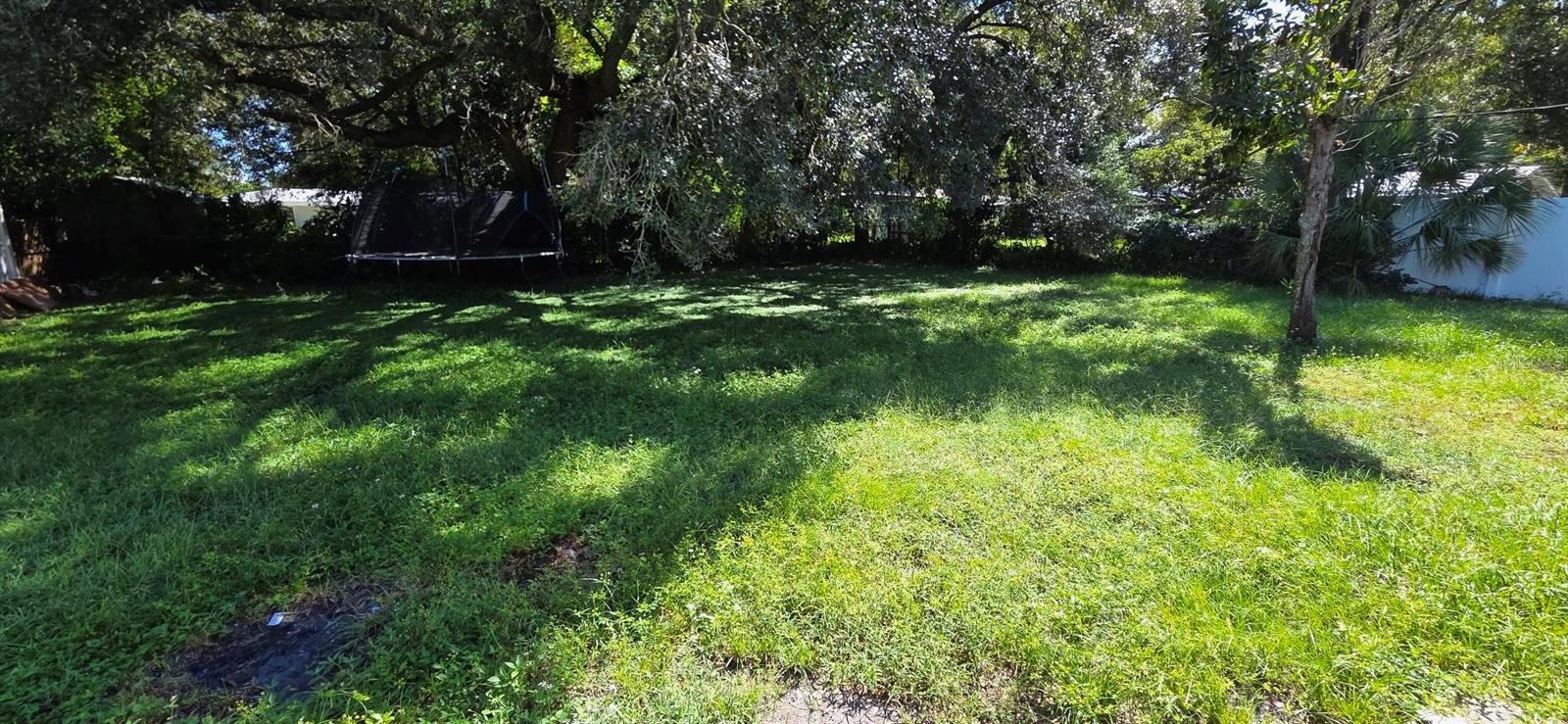 Home in TAMPA — photo 7