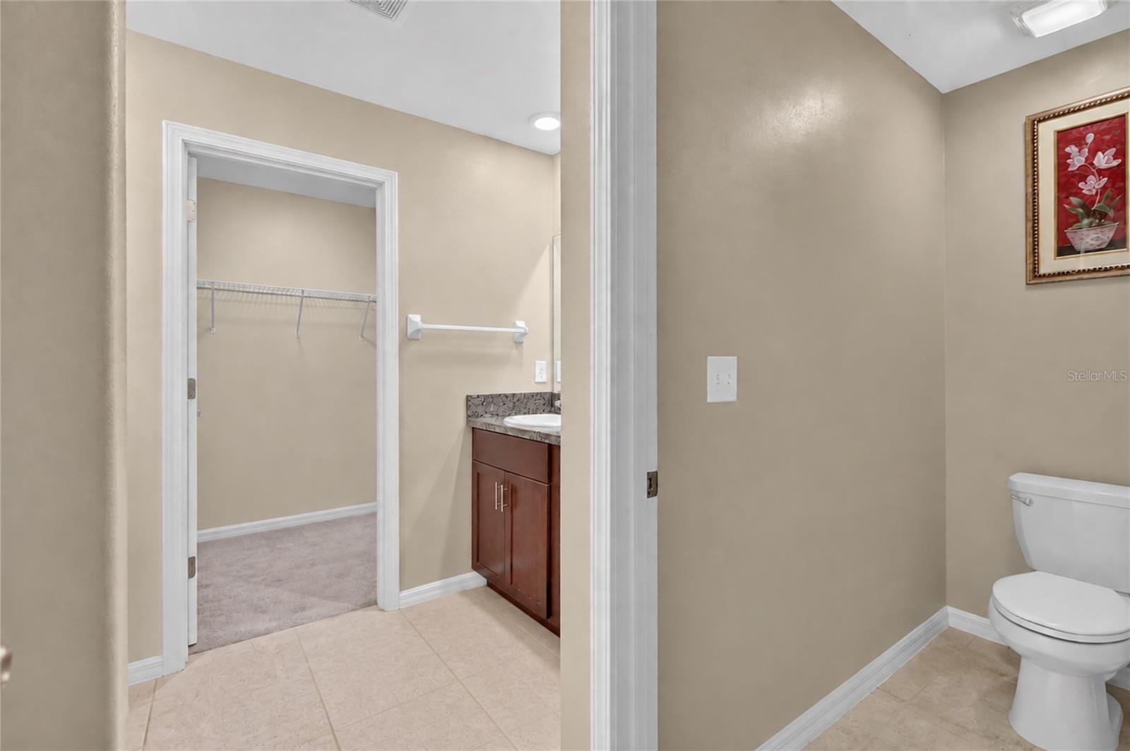 5111 WHITE CHICORY DR — photo 25