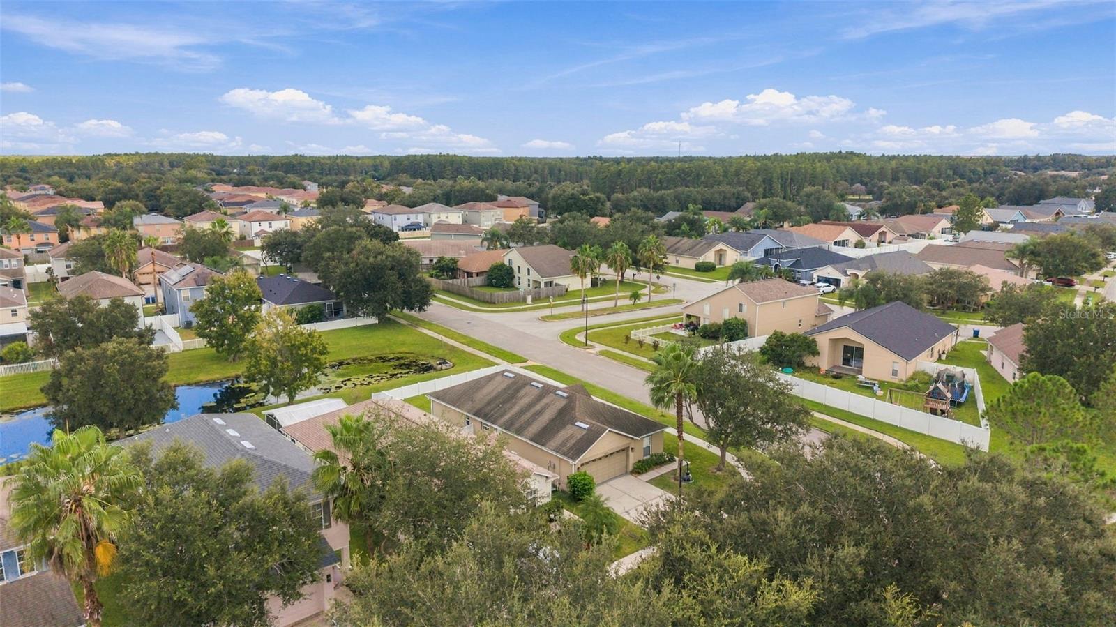 3320 CARDINAL FEATHER DR — photo 40
