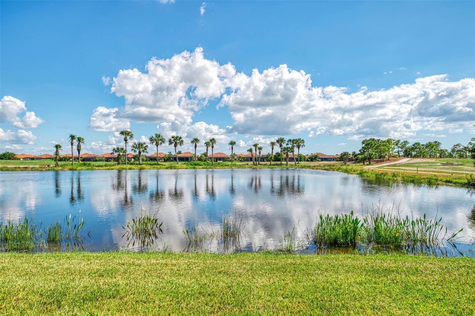 10800 WHISK FERN DR — photo 66