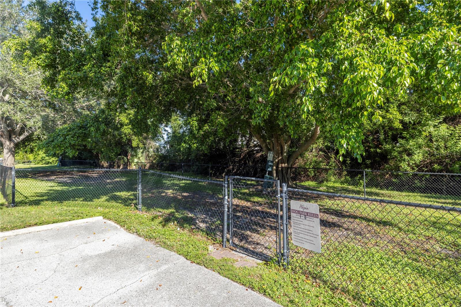 10263 GANDY BLVD N #315 — photo 49