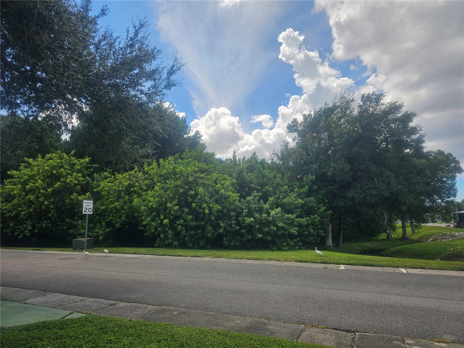 225 TARPON LANE — photo 5