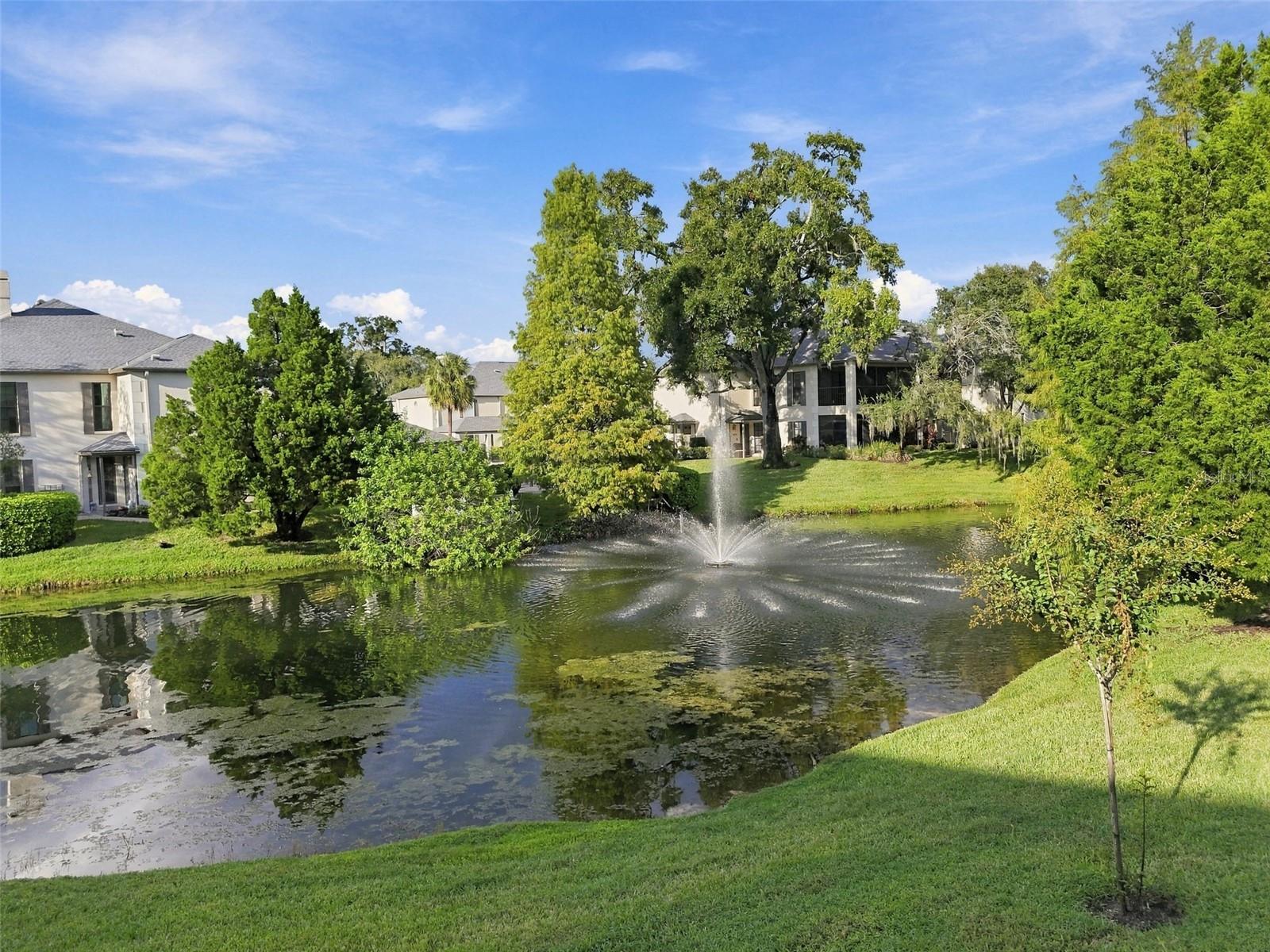 13036 VILLAGE CHASE CIR #13036 — photo 45