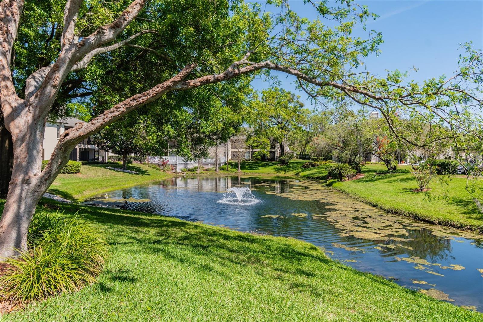 13036 VILLAGE CHASE CIR #13036 — photo 53