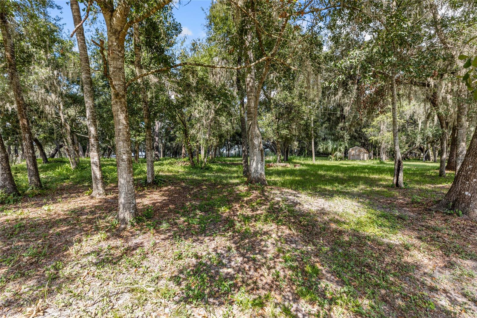 17445 PALMER LN — photo 6