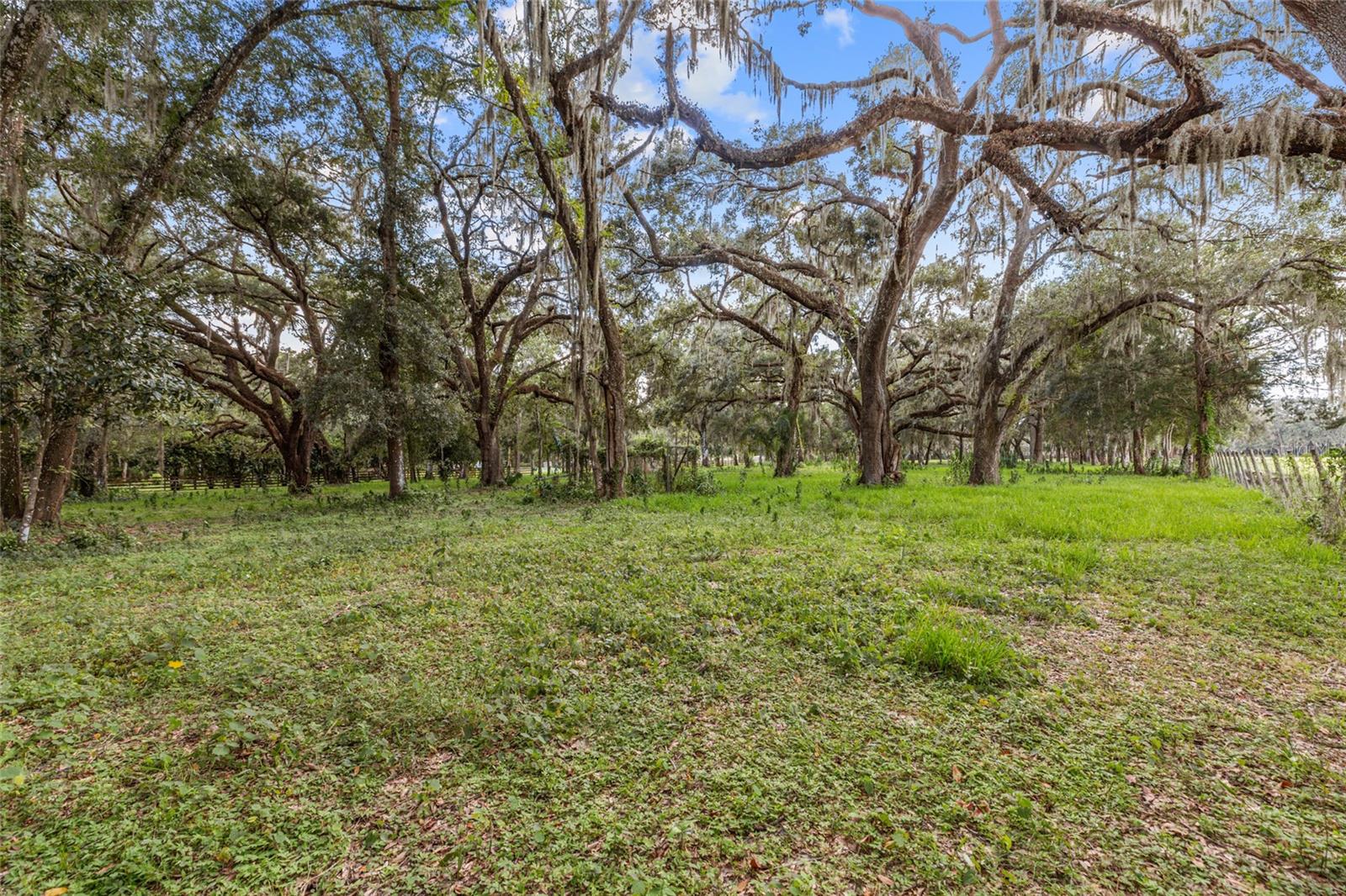 17445 PALMER LN — photo 3