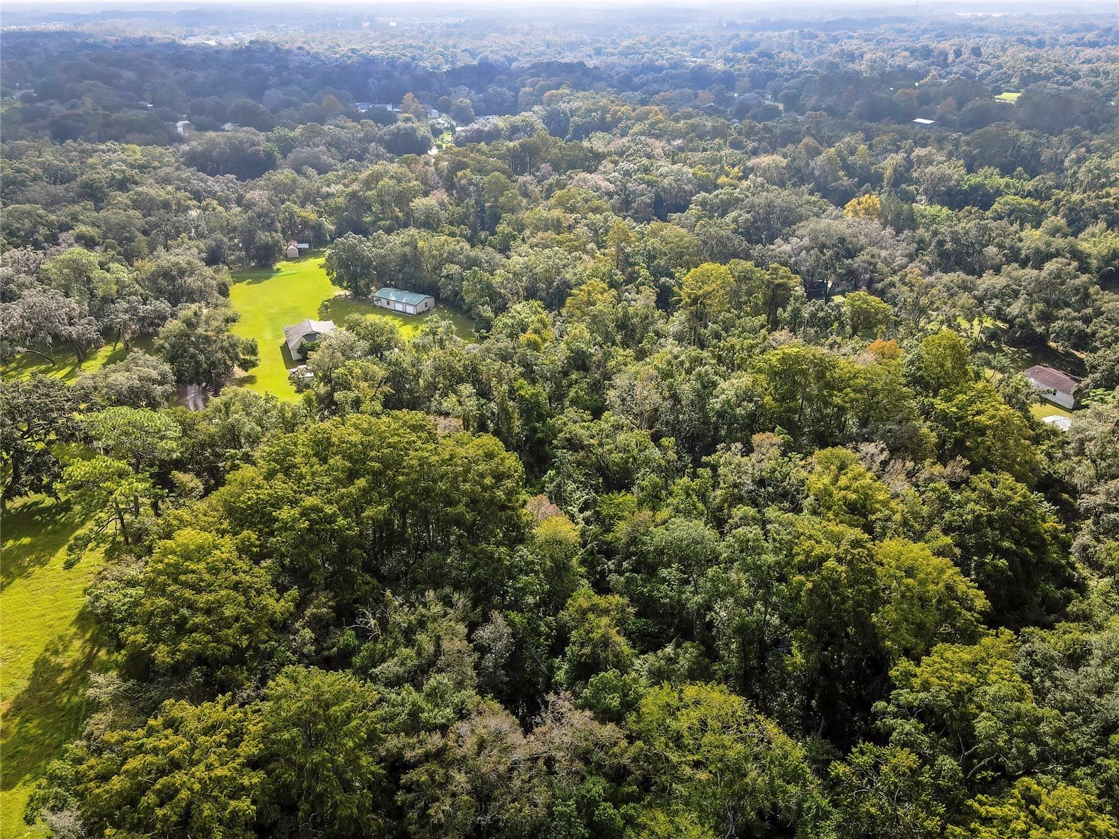 0 PALMER LN — photo 6