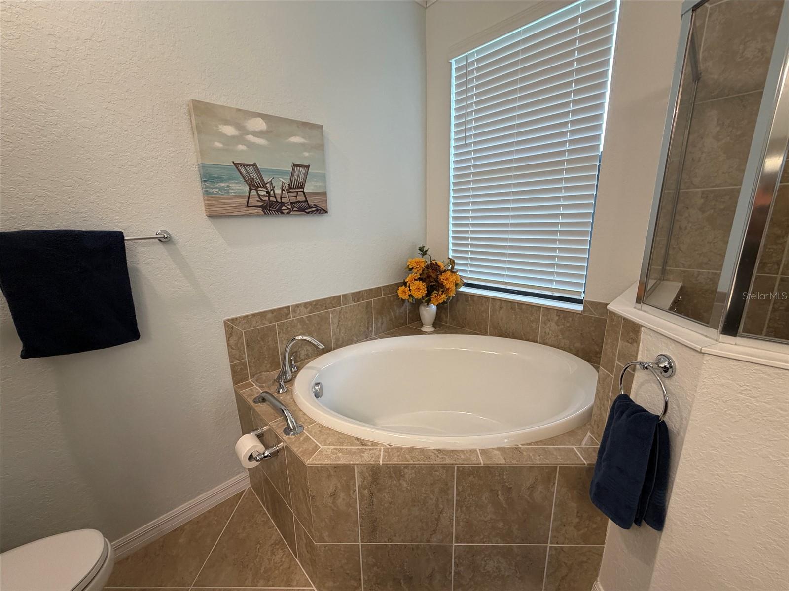 12320 AMICA LOOP — photo 24