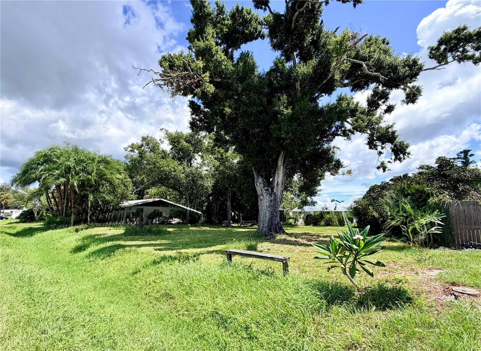 225 MAGNOLIA RD — photo 34