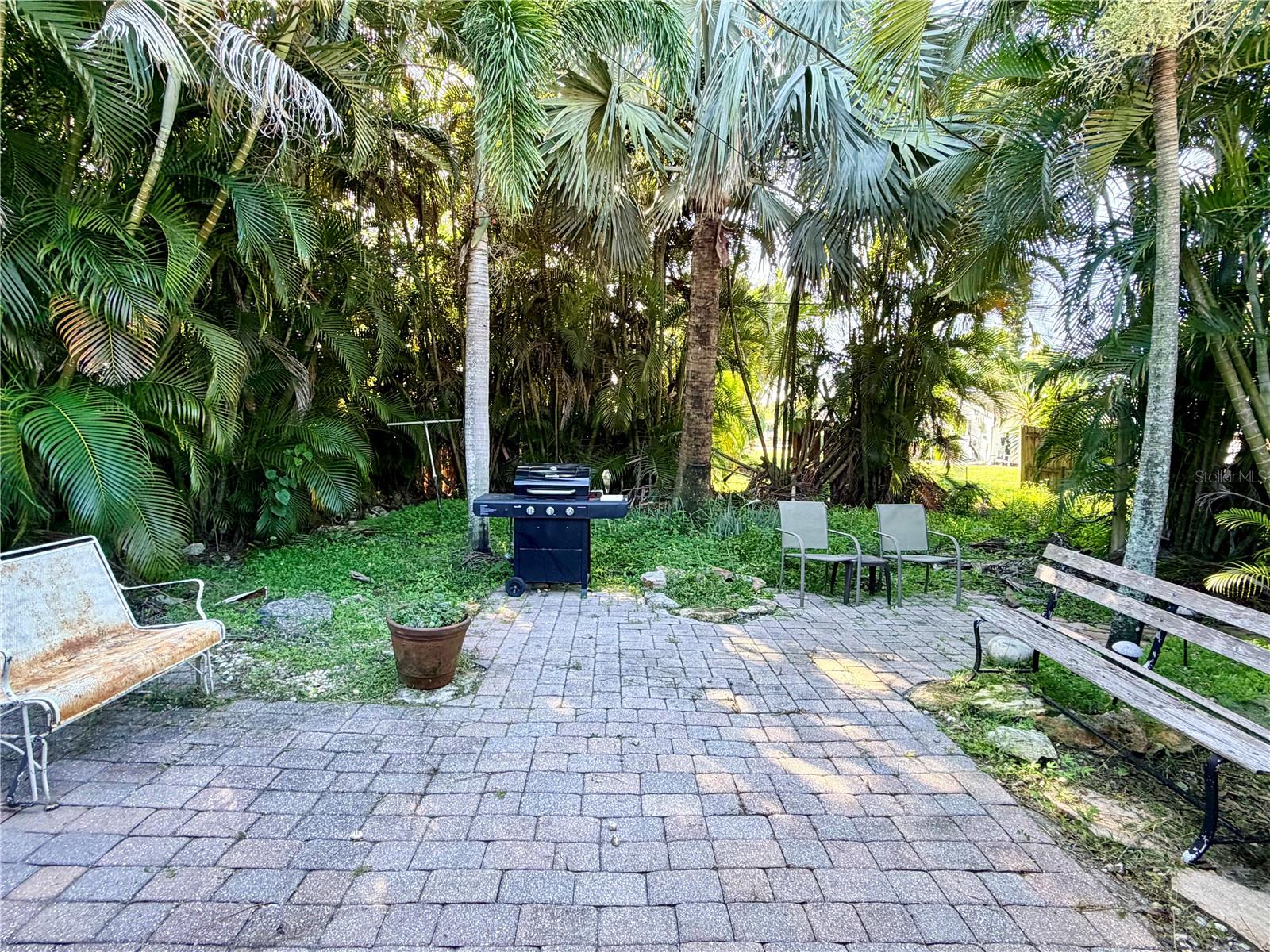 225 MAGNOLIA RD — photo 19