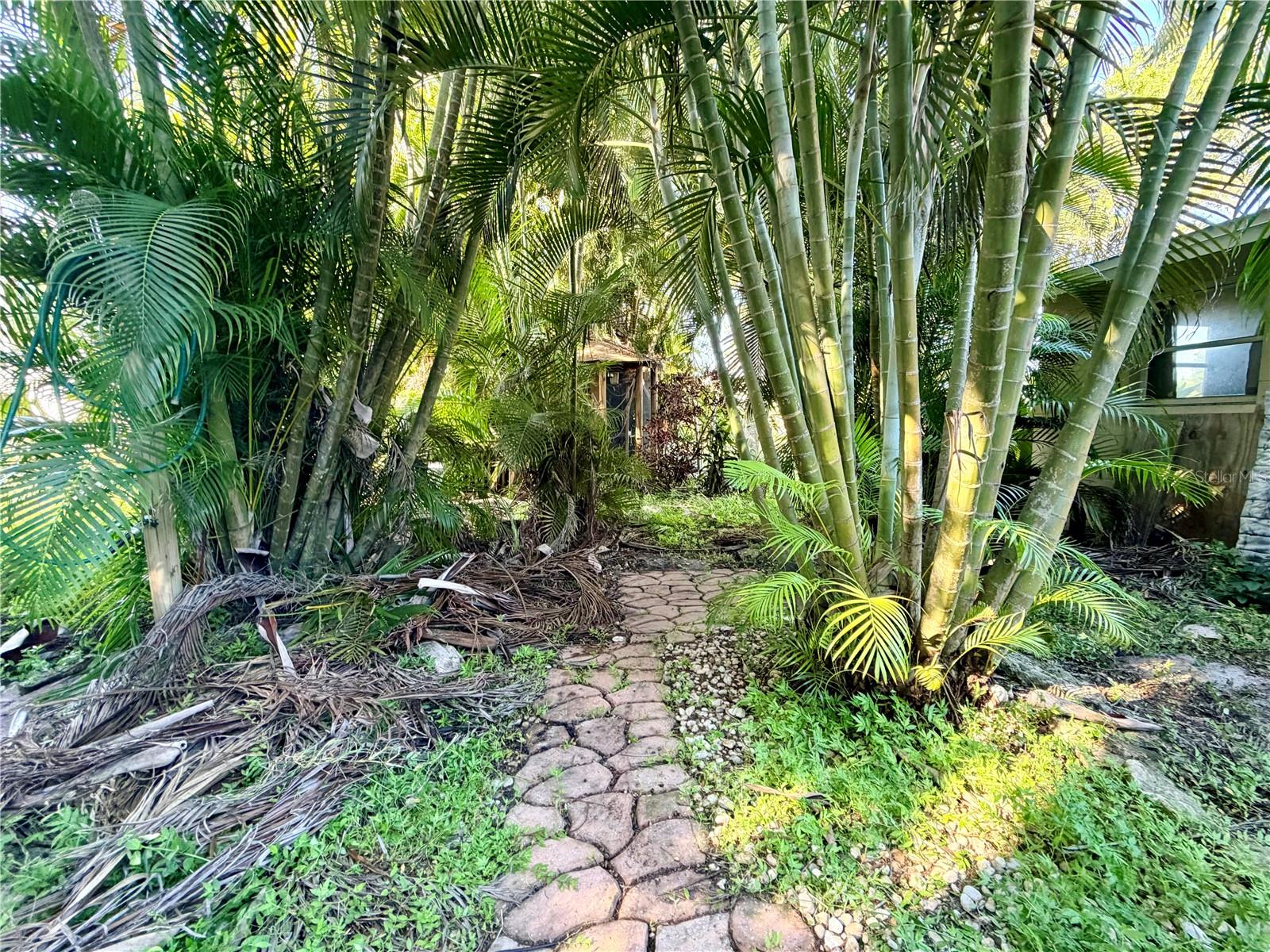 225 MAGNOLIA RD — photo 27