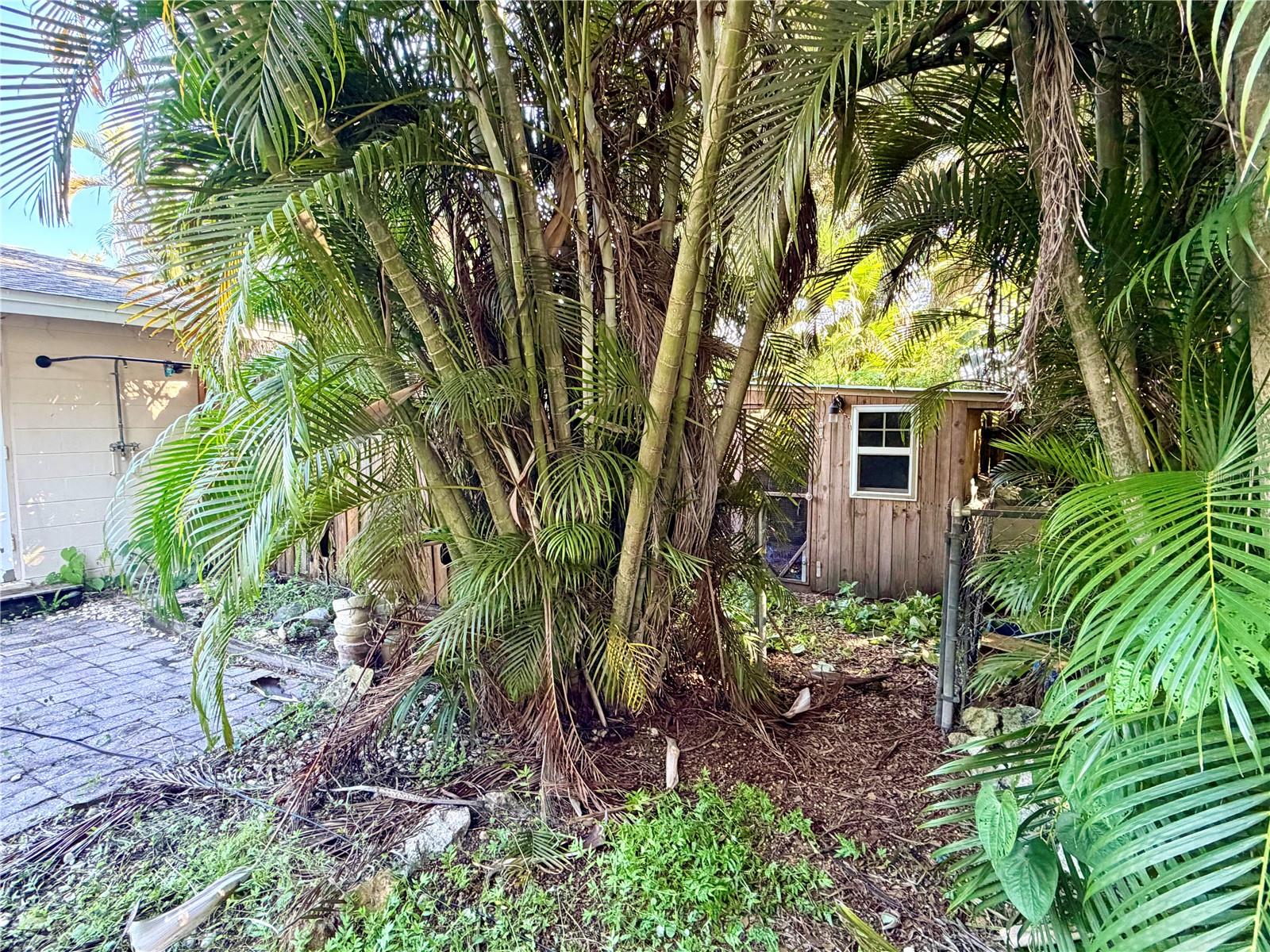225 MAGNOLIA RD — photo 23