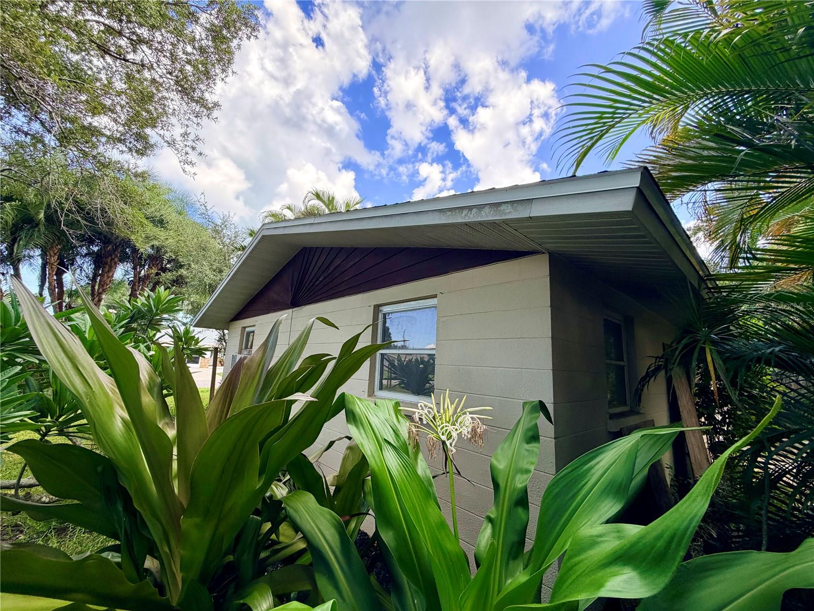 225 MAGNOLIA RD — photo 4