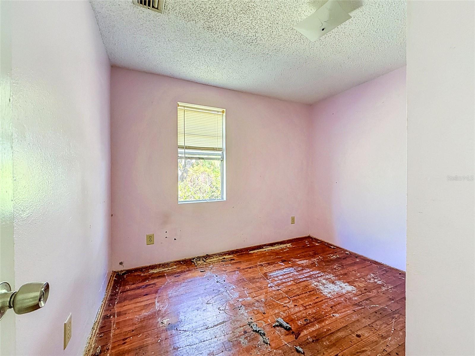 331 MARIE ST — photo 18