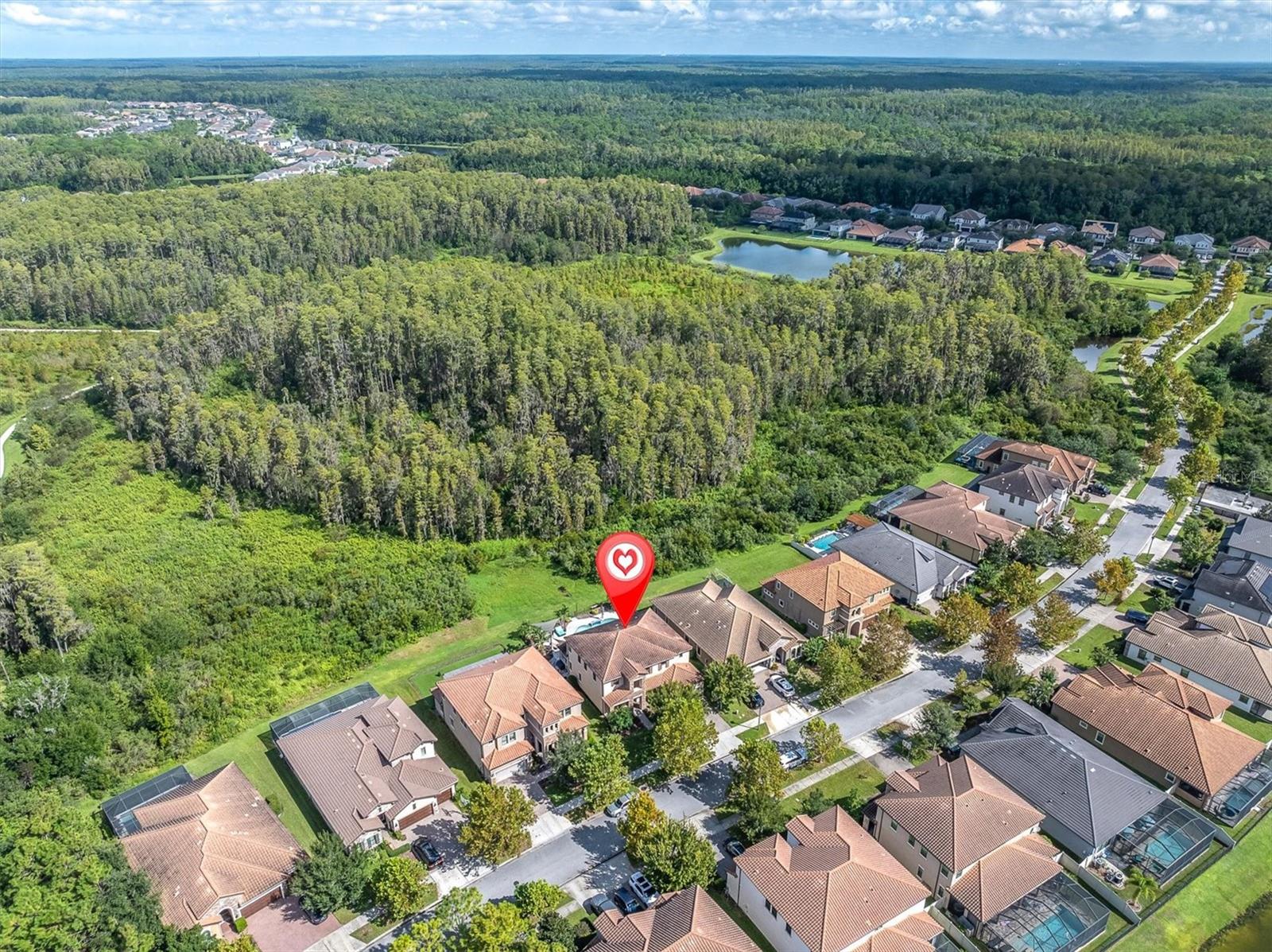 12813 BERRYPICK TRL — photo 7
