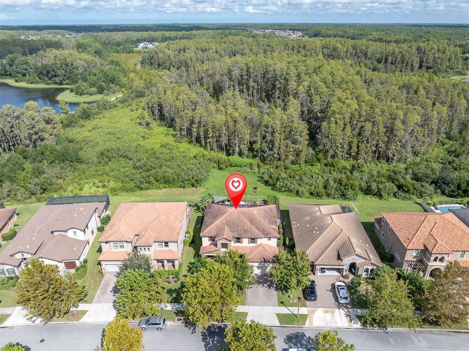 12813 BERRYPICK TRL — photo 6