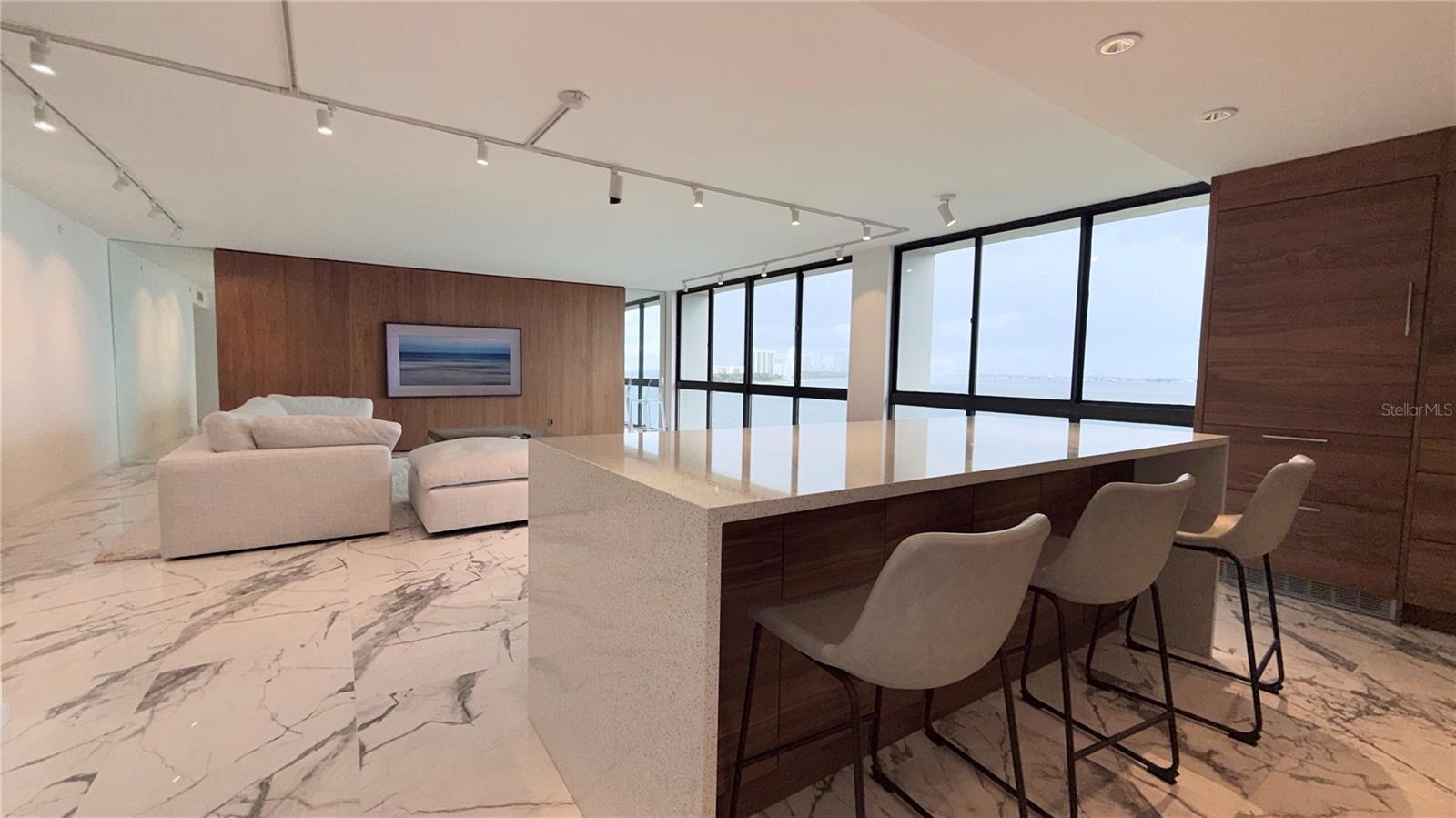 3301 BAYSHORE BLVD #905C — photo 6