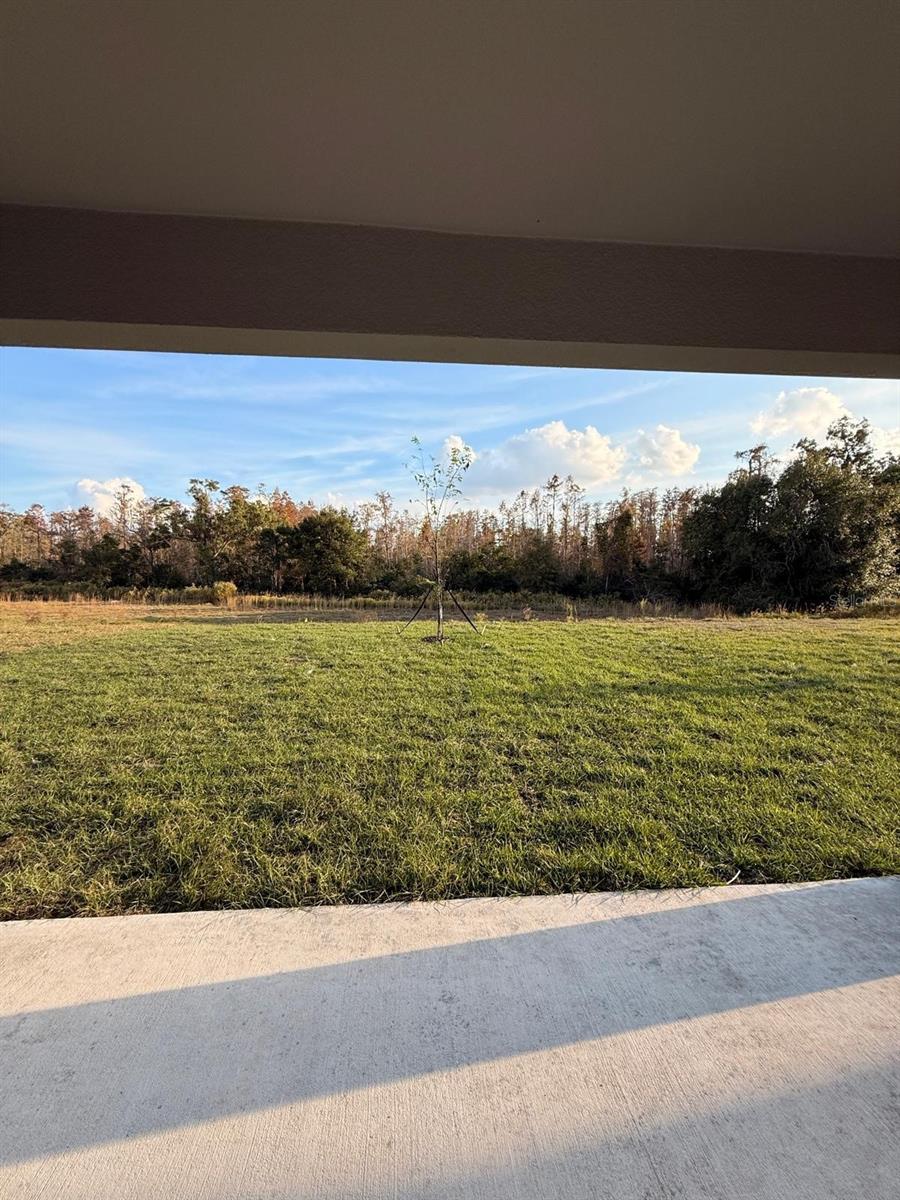 17602 PLEASANTVIEW BLVD — photo 18